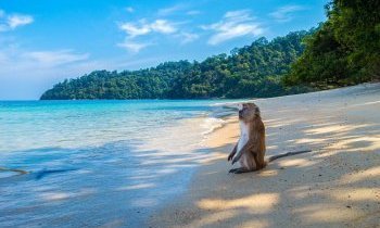 Plus belles plages de Thailande