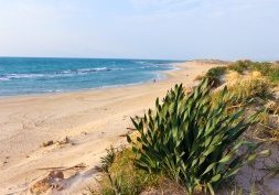 Guide de voyage en Israël