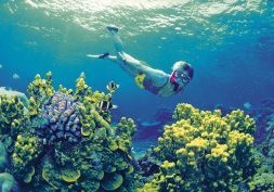 Cairns, la barrière de corail