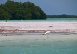 Mexique, Holbox