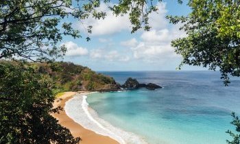 L'archipel de Fernando de Noronha et l'atoll des Rocas