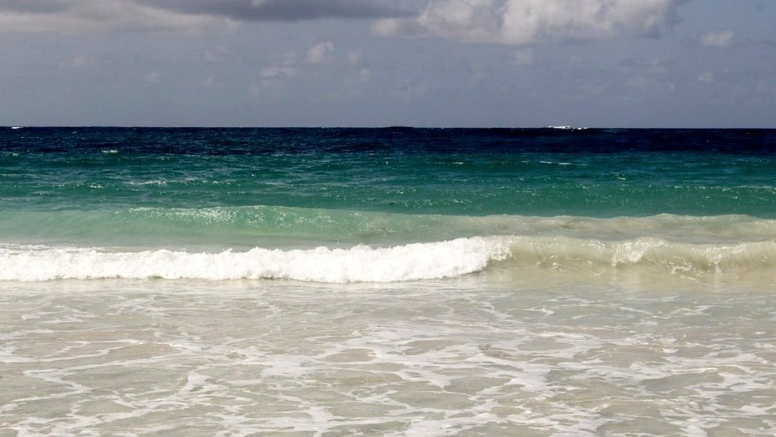 Découvrir les trésors de la Martinique