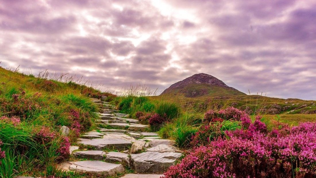 Que voir, que faire en Irlande ?