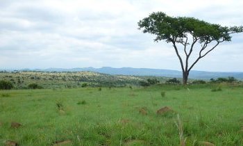 Visiter le Kwazulu-Natal