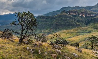 Afrique du Sud