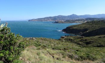Découverte de l'Occitanie : un voyage entre patrimoine et nature