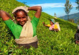 Vacances de Noel en Inde du sud