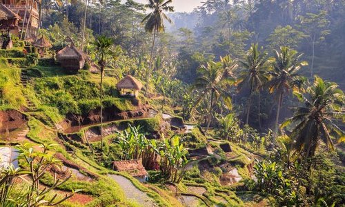 Bali : Ubud