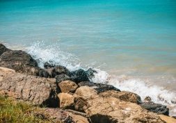Martinique, l'île aux Fleurs