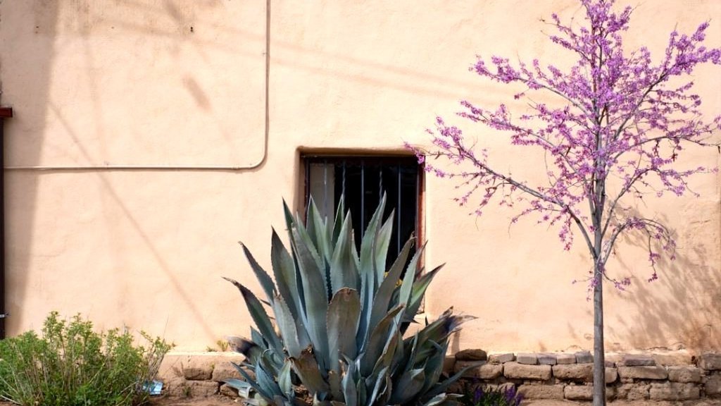 Santa Fe