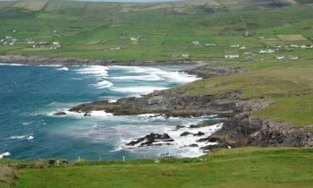 Voyage et séjour en Irlande… attention un mouton !!