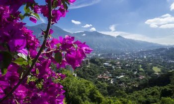 Sejour Venezuela, l'Etat de Miranda
