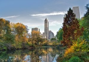 New York : Central Park