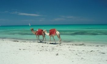 Vacances à Djerba