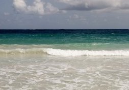 Découvrir les trésors de la Martinique