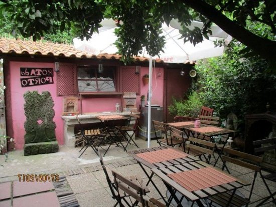 Rota do chá, le salon de thé le plus zen de Porto