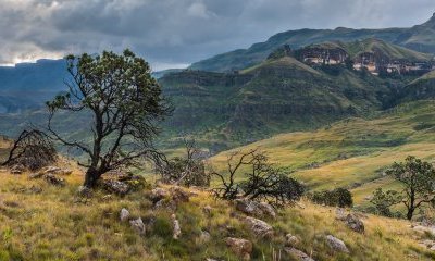 Afrique du Sud