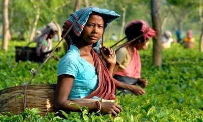Inde