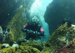 7 meilleurs endroits pour faire de la plongée au Brésil