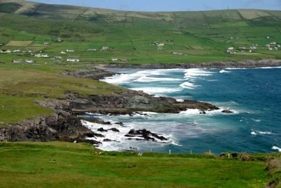 Voyage et séjour en Irlande… attention un mouton !!
