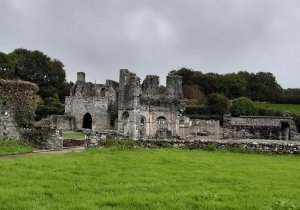 Abbaye de Mellifont