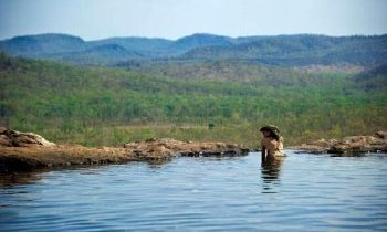 10 piscines naturelles que vous devez voir