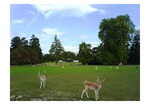 3 parcs proches de Lyon