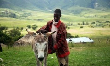 Explorer le Lesotho