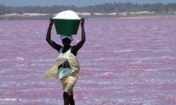 Sénégal