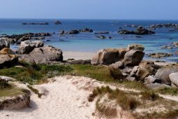 Week-end