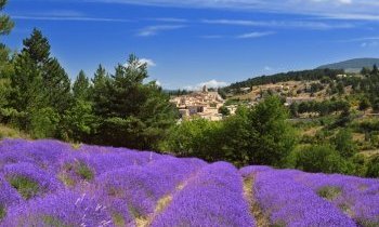 Vacances en Drôme
