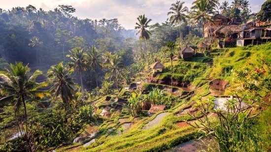 Bali : Ubud