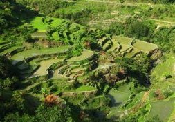 Les rizières en terrasses de Batad aux Philippines