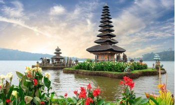 Bali : Les rizières