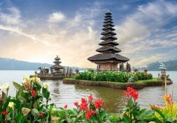 Bali : Les rizières