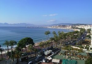 Que faire sur Cannes et ses environs ?