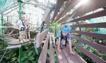 Cairns : Le Wildlife Dome