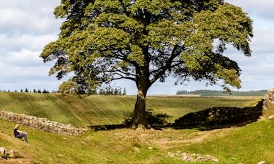 Le Mur d'Hadrien, le passé romain de l'Angleterre
