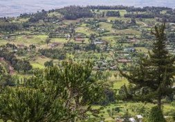 Kenya , la vallée du Grand Rift