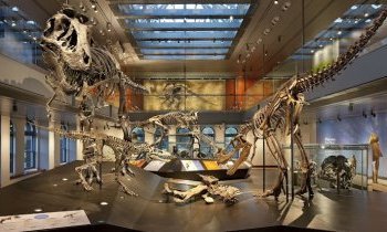 Los Angeles : Natural History Museum of LA county