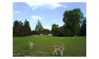 3 parcs proches de Lyon