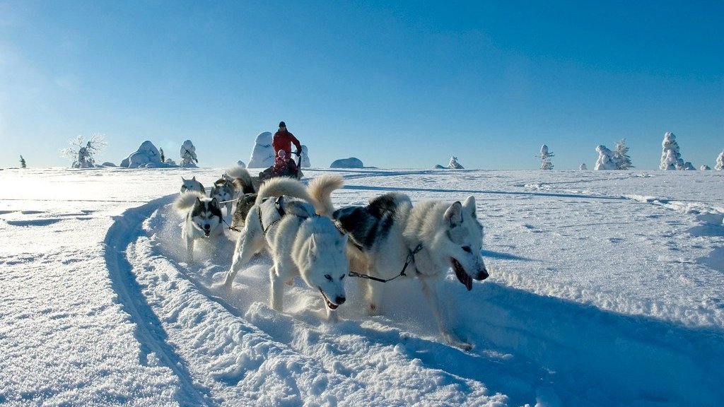 Rovaniemi et la Laponie