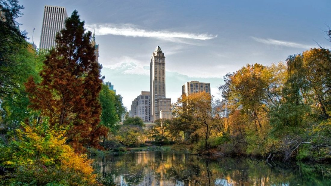 New York : Central Park