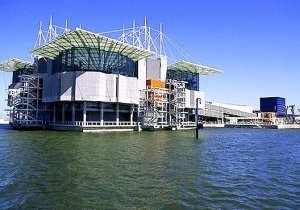 Lisbonne : L'Oceanário