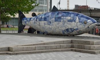 Que faire à Belfast en Irlande ?