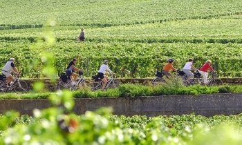 Cyclotourisme en Bourgogne