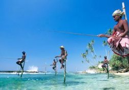 Préparer voyage au Sri Lanka