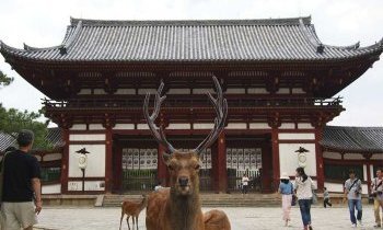  Nara, Le Berceau du Japon