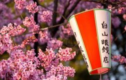 Japon