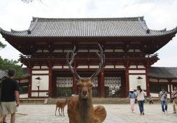  Nara, Le Berceau du Japon